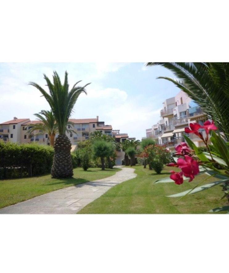 Apartament Rez De Jardin + Terrasse Piscine Et Acces Direct Plage Saint-Cyprien  Zewnętrze zdjęcie